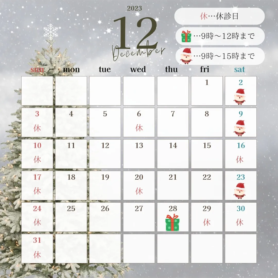 ☆１２月の休診日のご案内☆