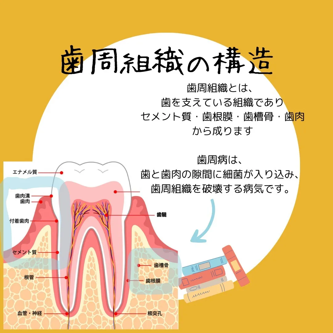 こんにちは、#福岡歯医者　#唐人町駅すぐ　の塚田歯科医院です...