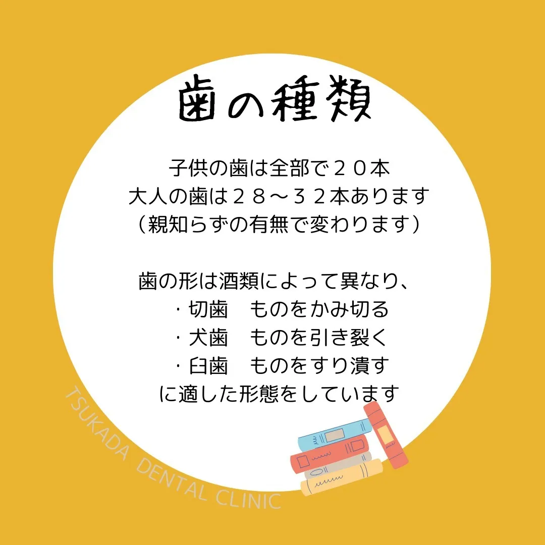 こんにちは、#福岡歯医者　#唐人町駅すぐ　の塚田歯科医院です...